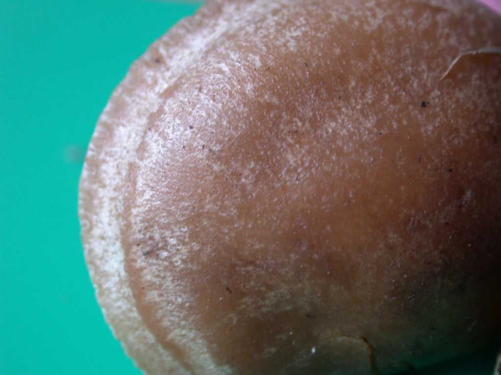 Sar determinabile ???